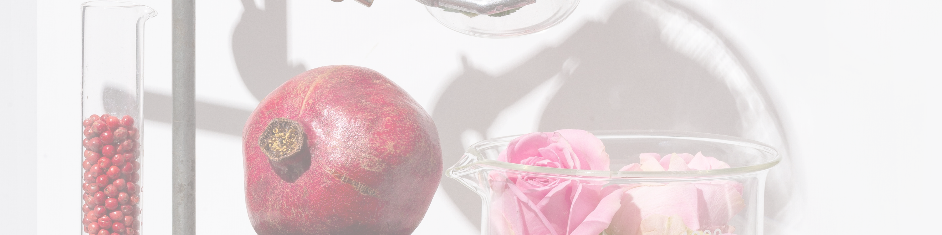 Rose Scent Edit