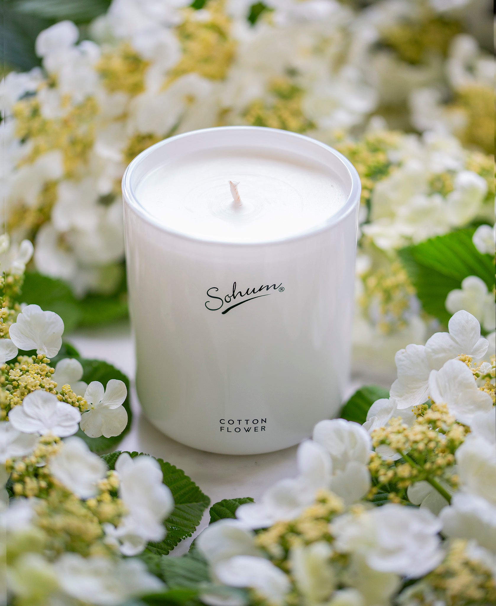 Cotton Flower Signature Candle