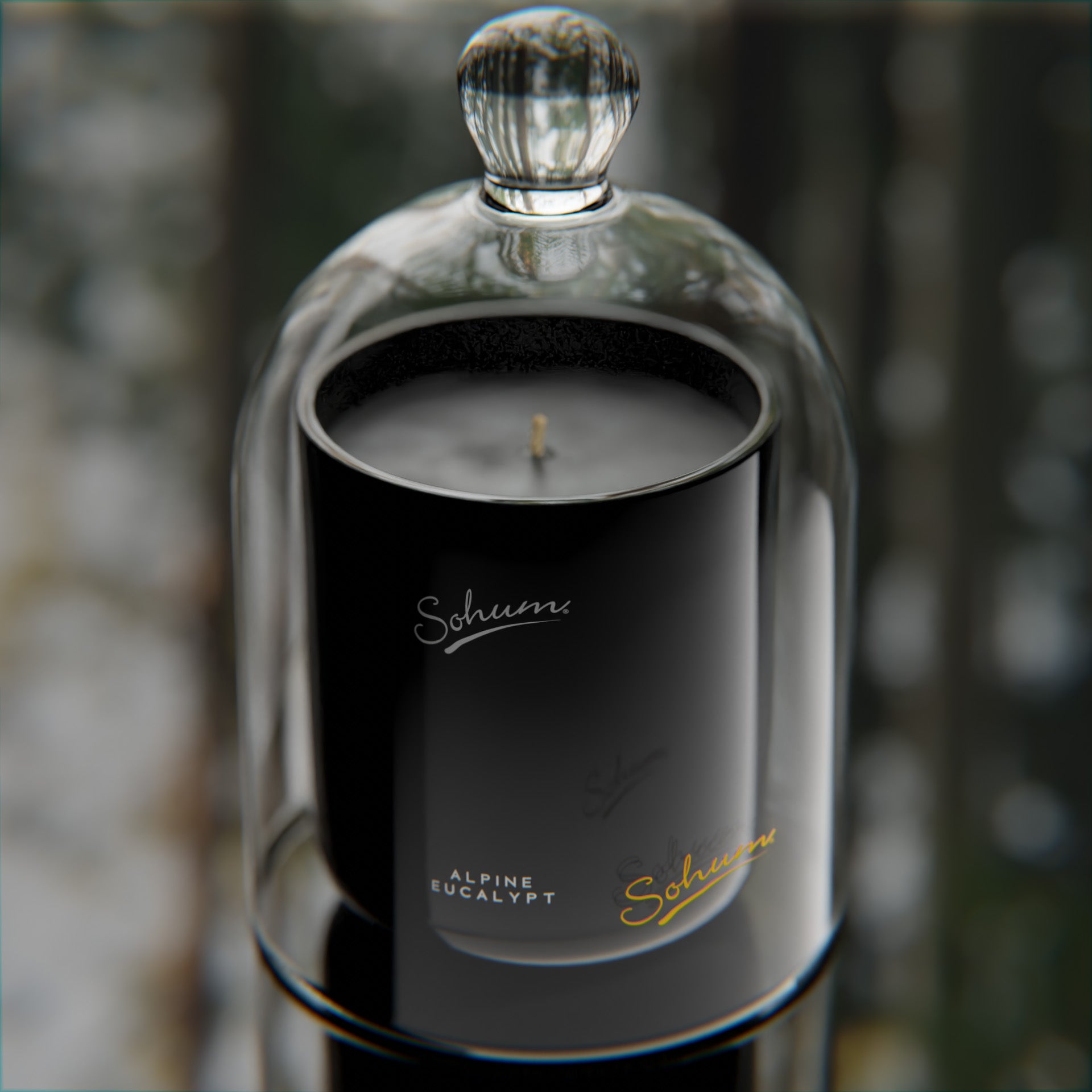 Alpine Eucalypt Signature Candle